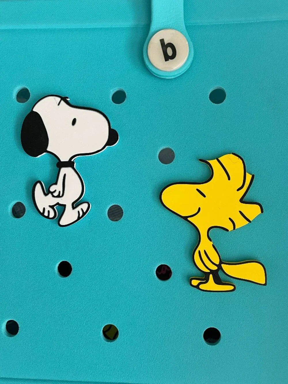 Snoopy and Woodstock Bogg Charms-Retro Bogg Charms-B Stock